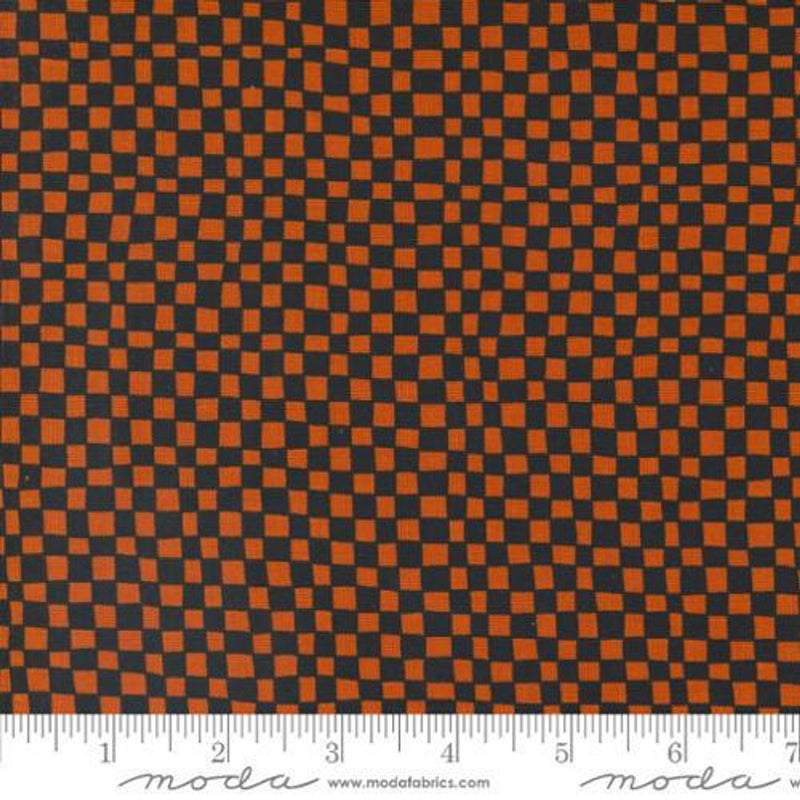 Noir - Checkerboard Pumpkin | 11547-24