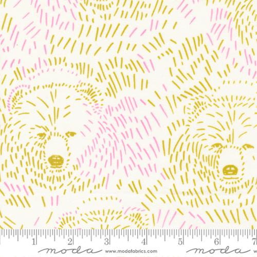 Marigold - Bears Daisy | 24600-11