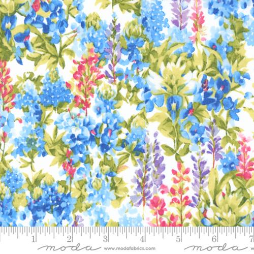 Wildflowers 2024 - Bluebonnets Cloud | 33772-11