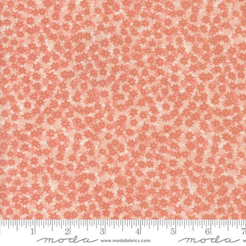 Bee Garden - Floral Phase Carnation | 48417-16