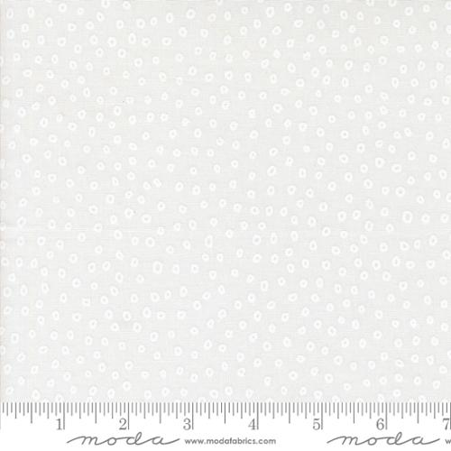 Botany - Seeds Paper White | 11556-11