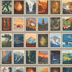 National Parks - Postcards Grey | CD13291-GRAY