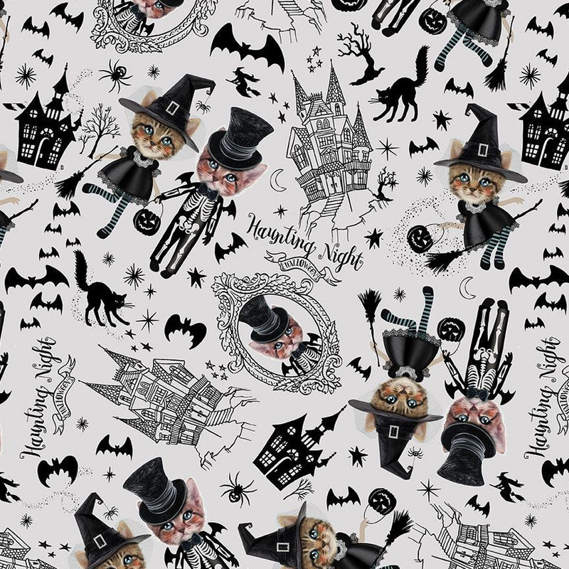 Pick Your Poison - Costumed Kittens Grey | BOO-CD3429