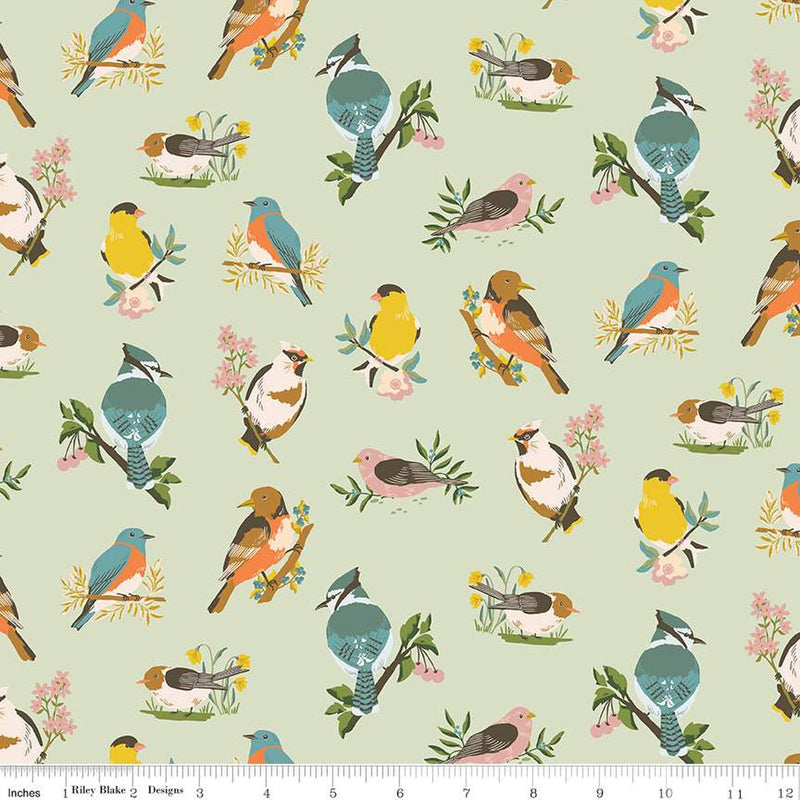 Winged Medley - Birds Sage | C15911-SAGE