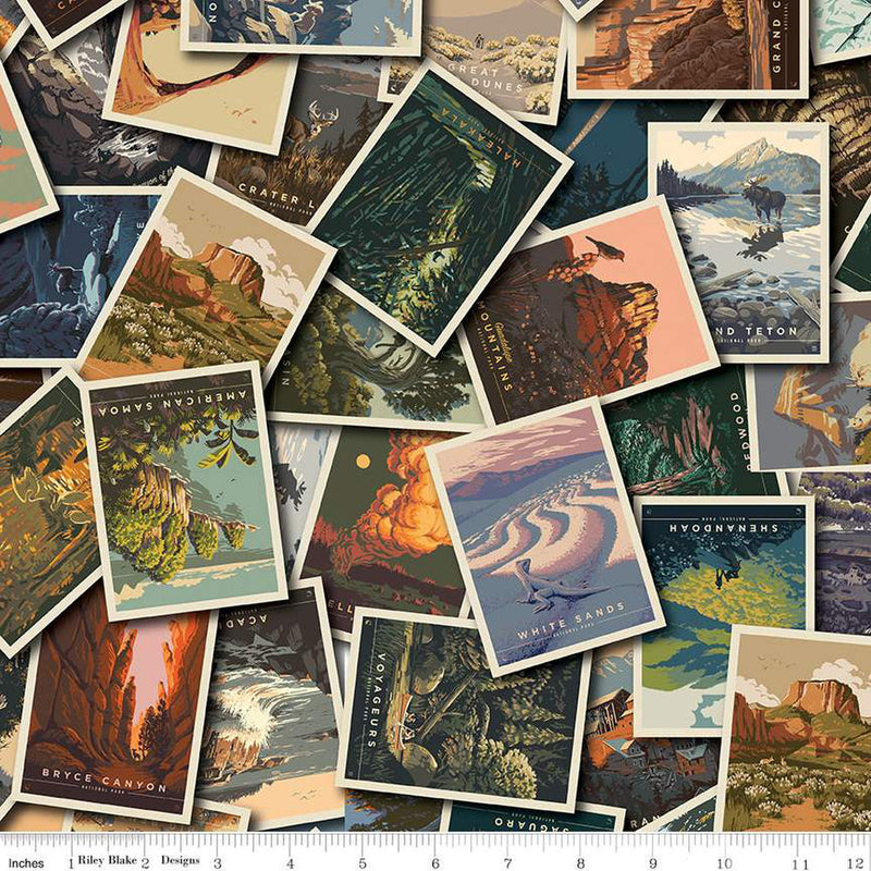 National Parks - Postcards Toss Multi | CD13290-MULTI