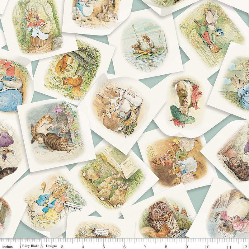 Peter Rabbit & Friends - Main Blue | CD15860-BLUE