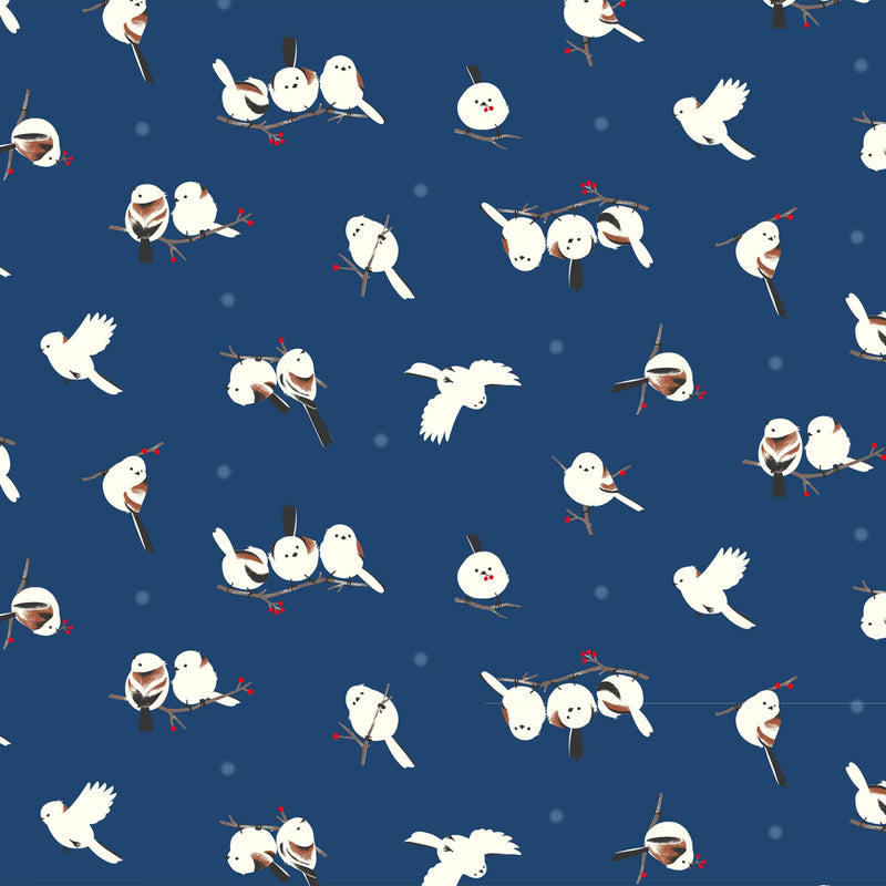 Shimaenaga - Birds Oxford | COSAP41803-E