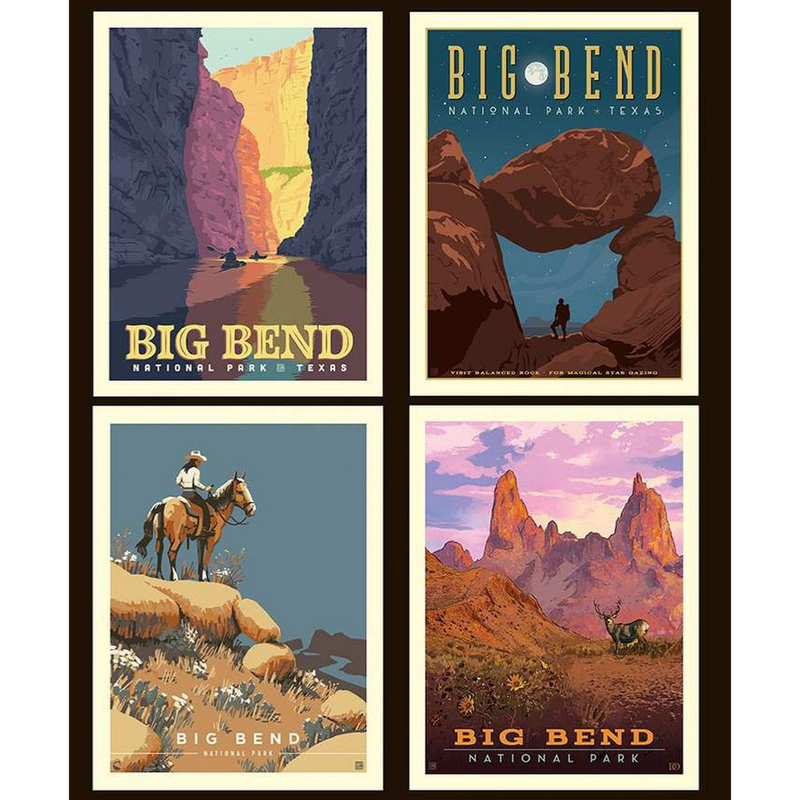 National Parks - Big Bend Pillow Panel | PPD15098-PANEL