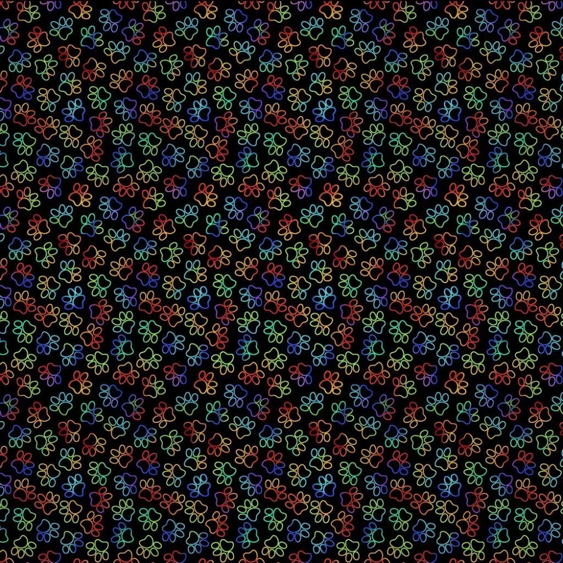 Cat Paw Prints - Rainbow | GAIL-CD3339