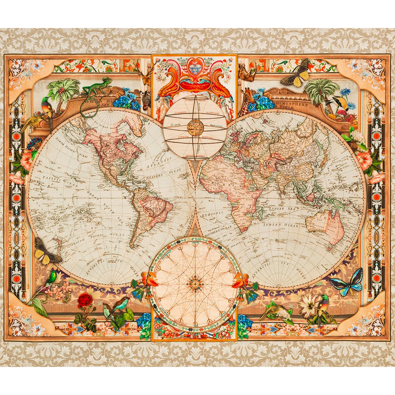 Library of Rarities - Vintage Map Panel Antique | ANPD-21873-199