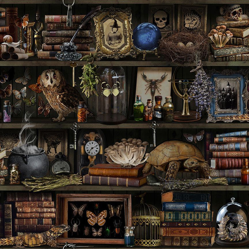 Mad Scientist - Witch Apothecary Bookshelf Brown | LIBRARY-CD2877