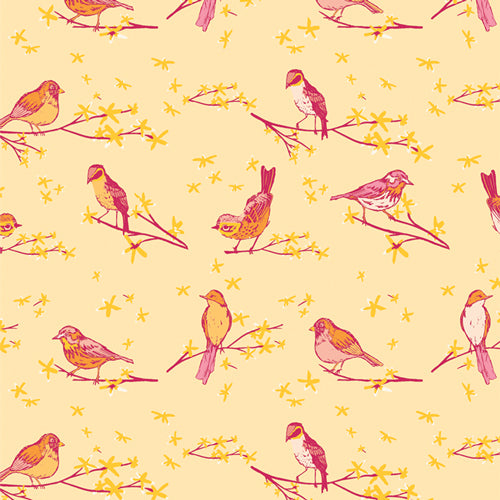 Marigold - Dawn Chorus Sunset | MRG55302