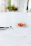 Nifty Notions - Swiss Style Tweezers