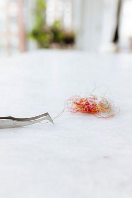 Nifty Notions - Swiss Style Tweezers