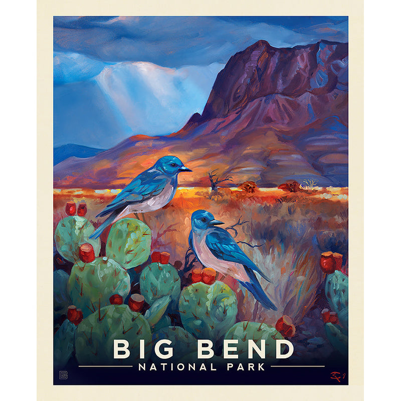 National Parks - Big Bend Poster Panel | PD15097-PANEL