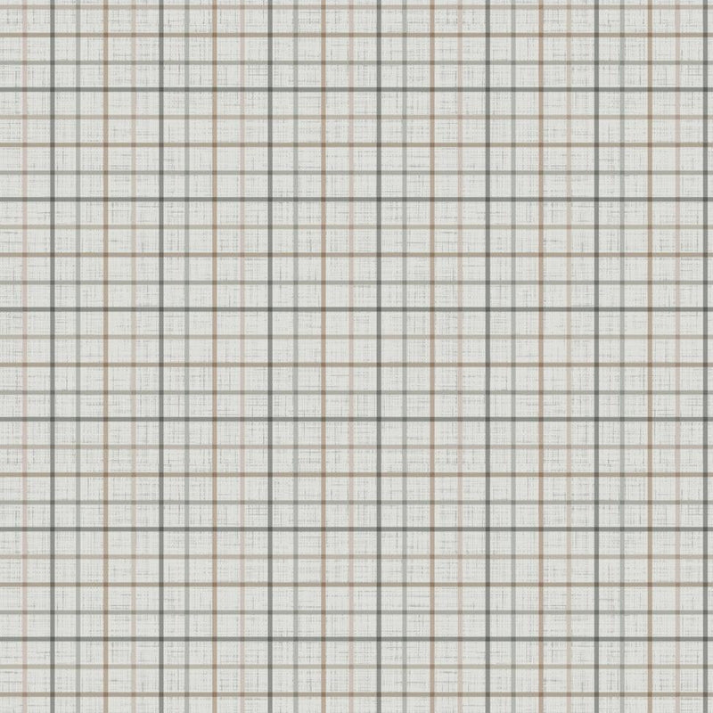 Grasslands - Plaid Grey Multi | RC90923-90