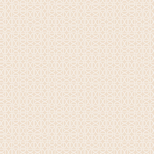 Tangerine - Zesty Wedges Raw | TAN69912