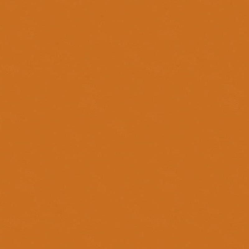 Moda Bella Solids - Pumpkin | 9900-454