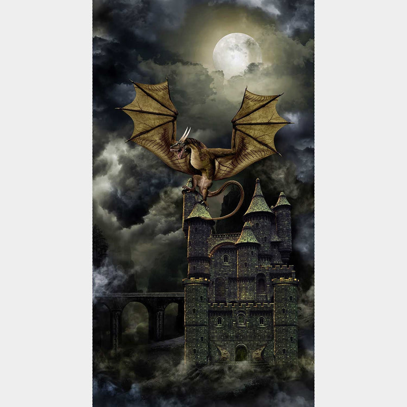 Dragon's Lair - Dragon's Castle Panel | PANEL- CD2995