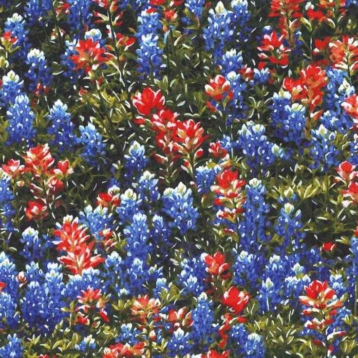 Texas Flowers - Multi | CX4490-MULT-D