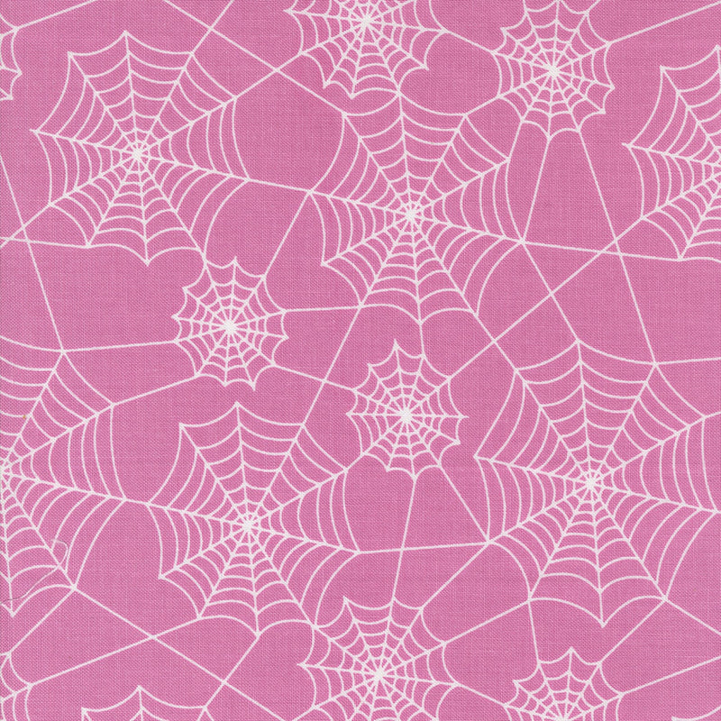 Hey Boo - Purple Haze Spider Webs | 5213-15