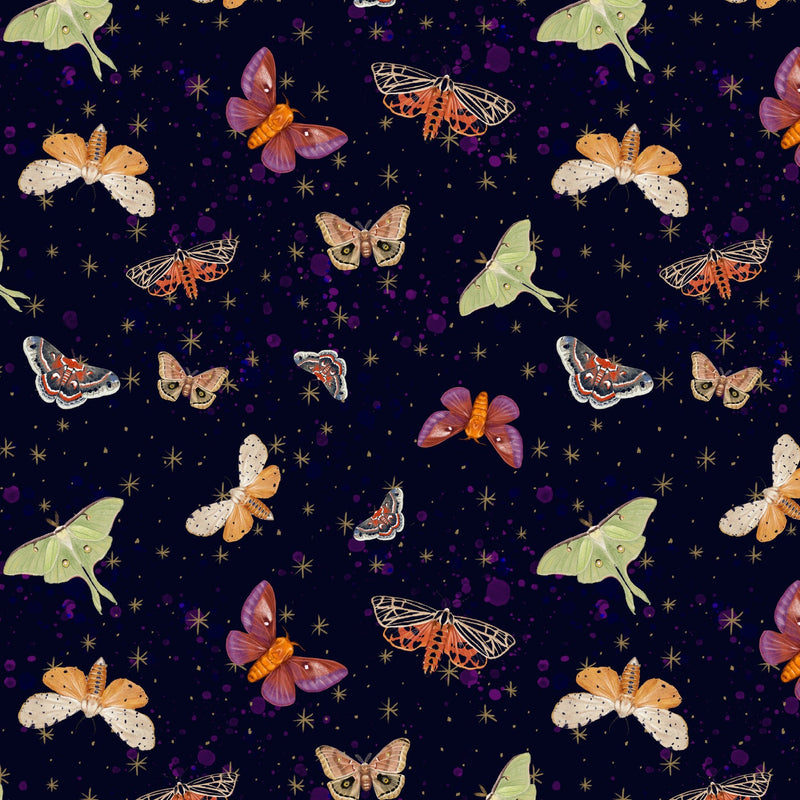 Midnight Rendezvous - Dark Purple Moths | B-2899-59