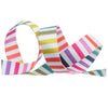 Tula Pink Tabby Road Nylon Webbing - 1" | Disco Stripe