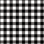 Warp & Weft 2 Premium - Checkerboard Black/White | 10201Y-99 ***
