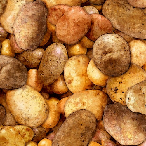 Fresh - Potato | 1649-28457-AK
