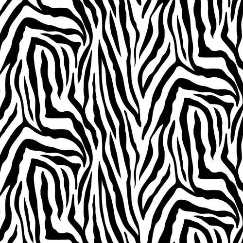 Skin Deep - Zebra Print Black/White | 1651-19