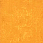 Spotted - Cheddar | 1660-15