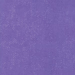 Spotted - Purple | 1660-31