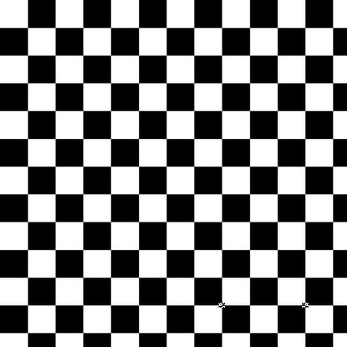 Paradox - Checkerboard | 1781-01