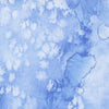 Eufloria - Frosted Sky | 8433-65
