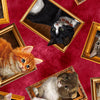 Literary Kitties - Framed Kitties Brick Red | 1649-28237-R