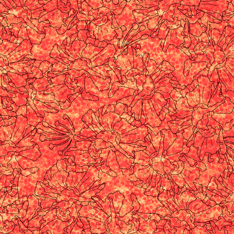 Matilija Poppy - Linear Floral Blender Orange | 1649-28703-O