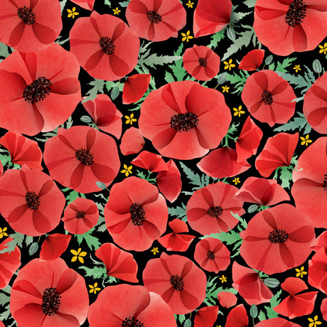 Wildflowers - Poppies Black | 1649-28768-J