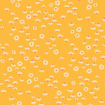 Honey - Cone Flower Marigold | RS4056-12