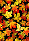 Change of Seasons - Spaced Leaves Black | OA594281