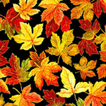 Change of Seasons - Spaced Leaves Black | OA594281