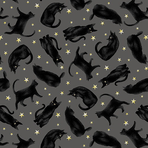 Midnight Magic - Stars & Cats Black/Charcoal | 6394-99