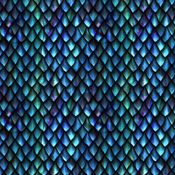 Dragons Blue Fury - Scales Blue/Black | 6DRG-2