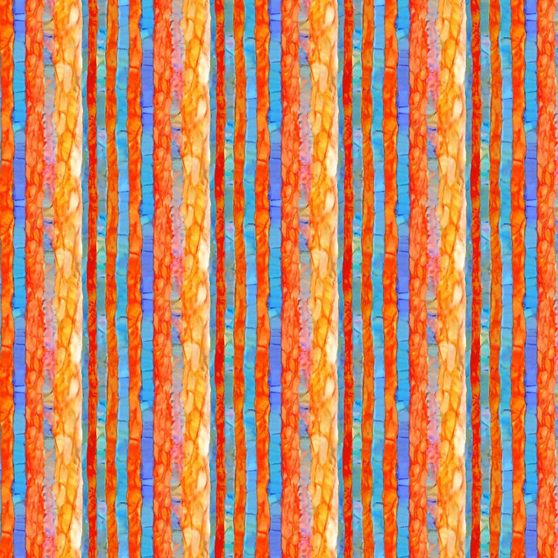 Creation - Multi Color Stripe | DP25022-24