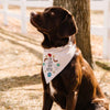 Kimberbell Designs |  Playful Pet Kerchiefs