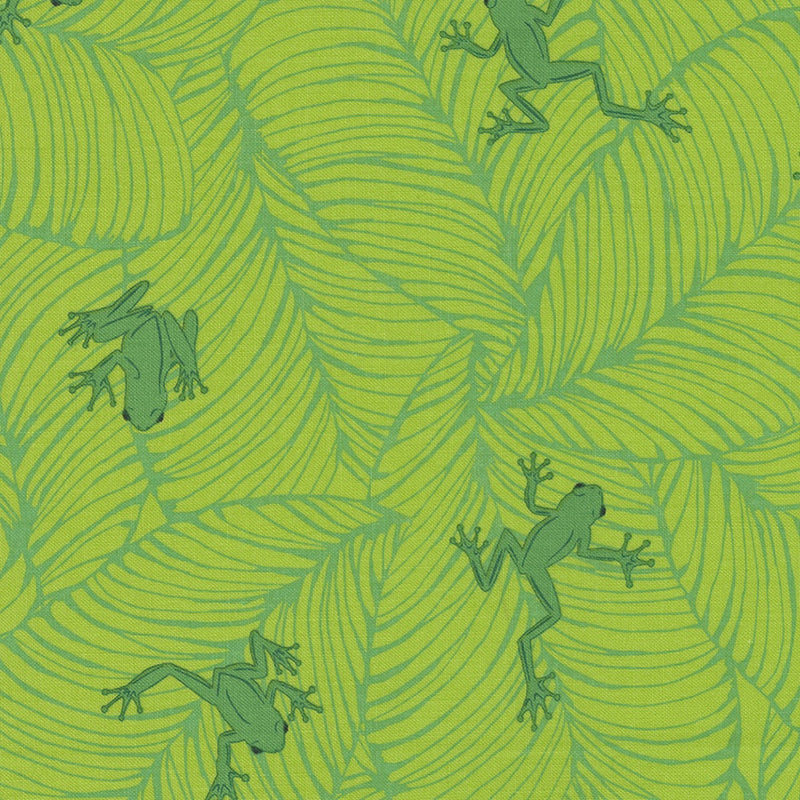 Jungle Paradise - Tree Frog Seedling | 20786-19