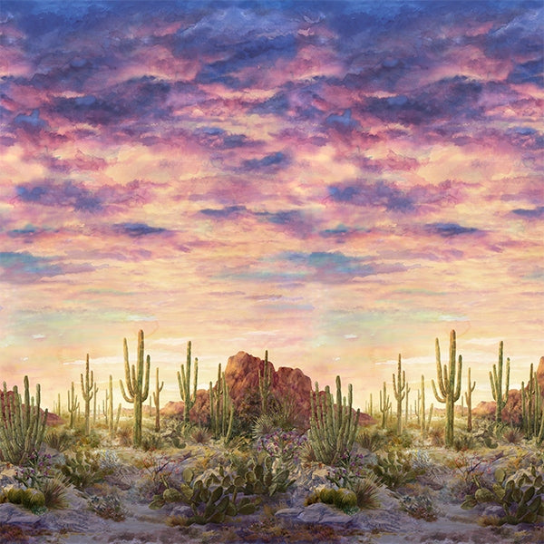 Southwestern Skies - Desert Landscape Sunset | T4911-151