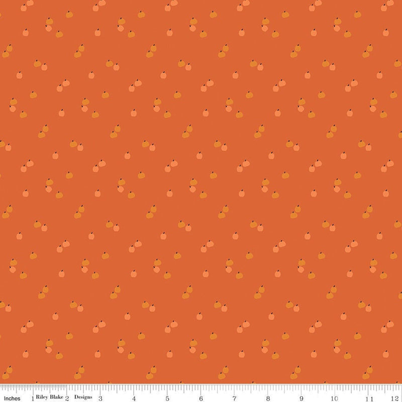 Seasonal Basics - Pumpkins Orange | C652-ORANGE