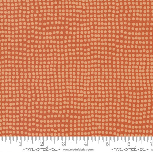 Frisky -Dots Cheeky | 1774-22