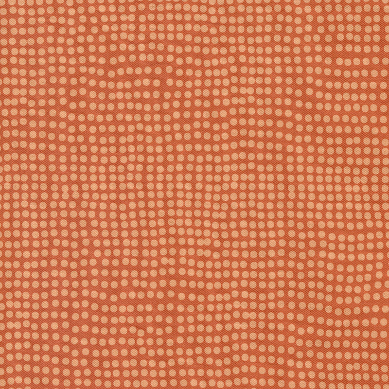 Frisky -Dots Cheeky | 1774-22