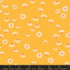 Honey - Cone Flower Marigold | RS4056-12